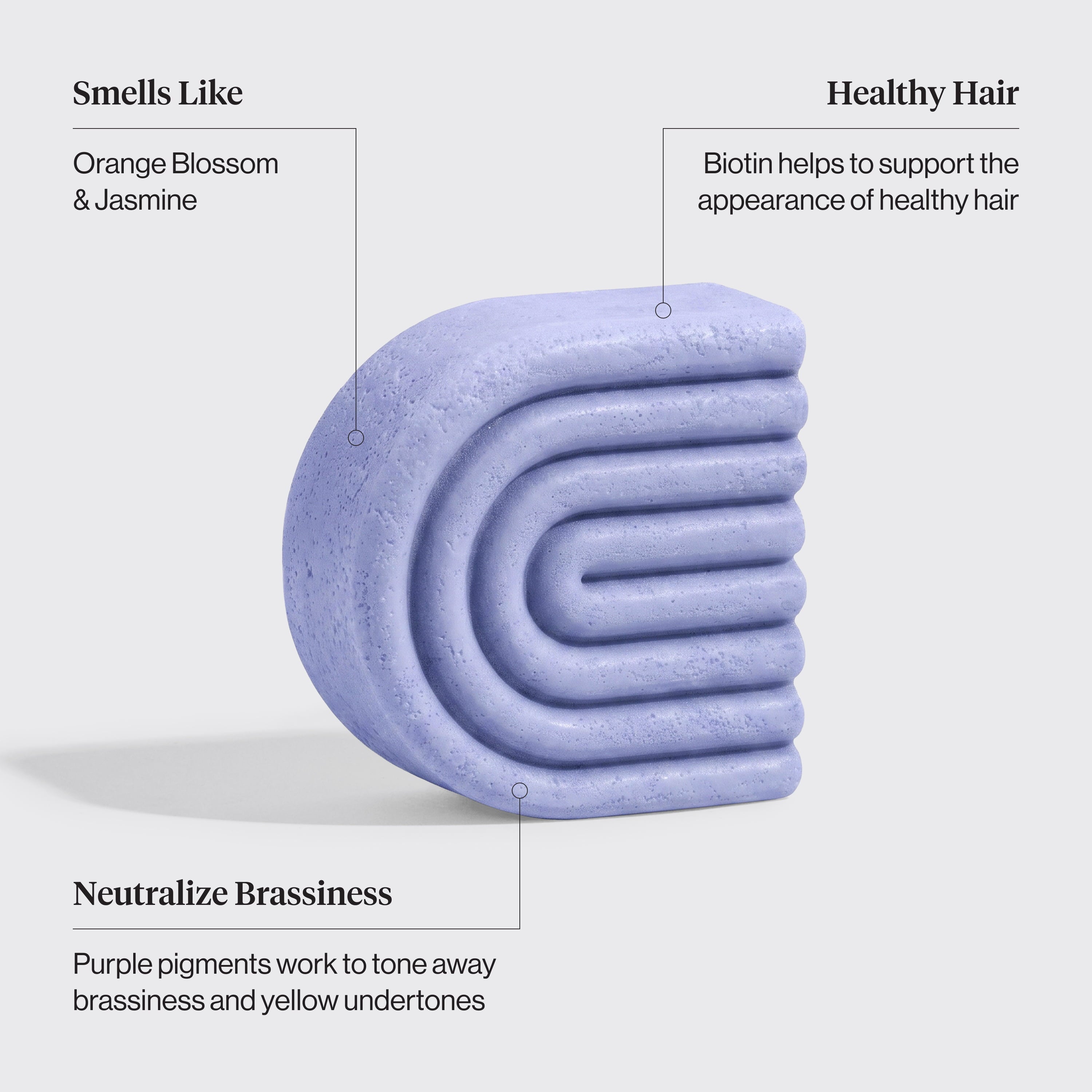Purple Toning Shampoo &amp; Conditioner Bar Combo for Color-Treated &amp; Grey Hair